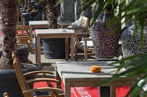 Terrasse vor dem Haus mit Palmen
