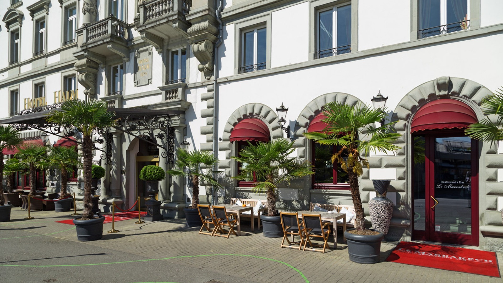 Terrasse mit Palmen 