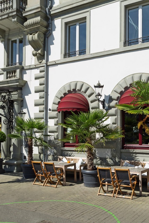 Terrace with palm trees 