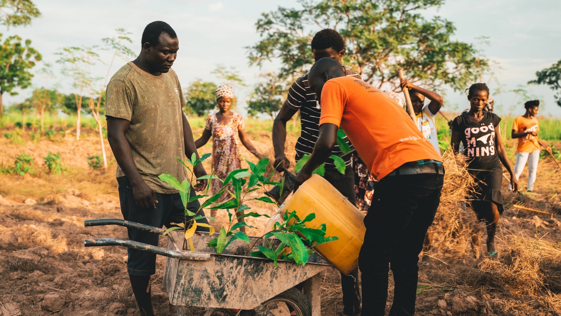 Teammitglieder in Ghana beim Bäume pflanzen