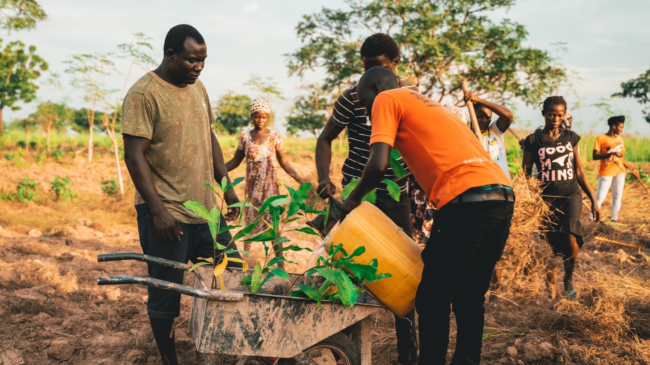 Team members in Ghana planting trees