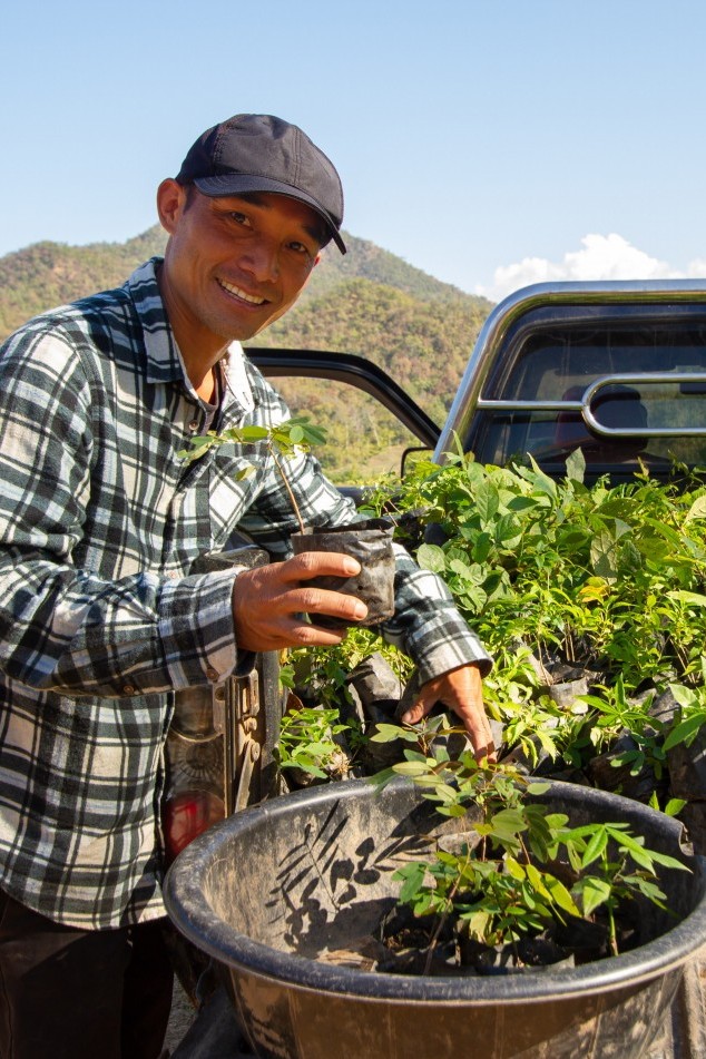 Mitarbeiter in Ghana mit Pflanzensetzlingen