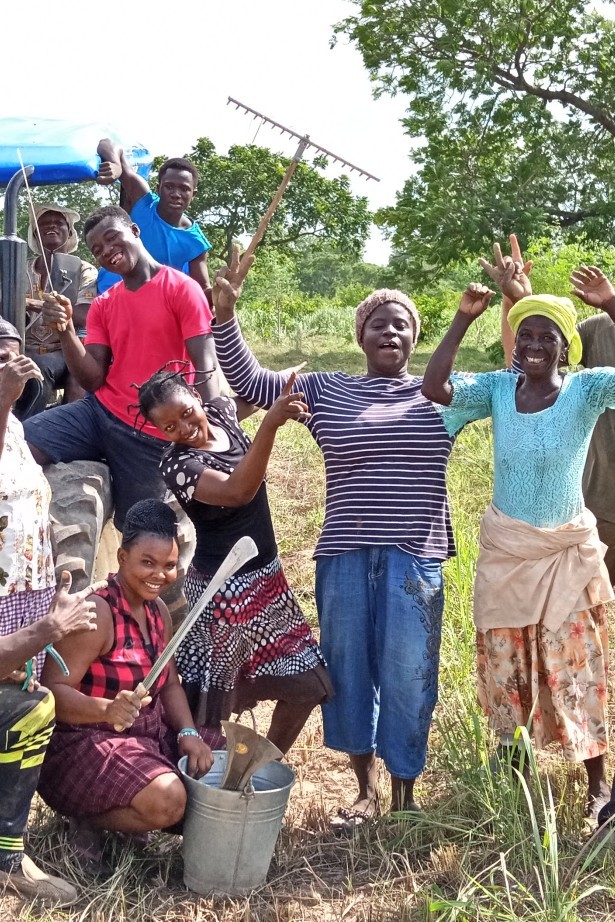 Employees and tractor planting the seedlings
