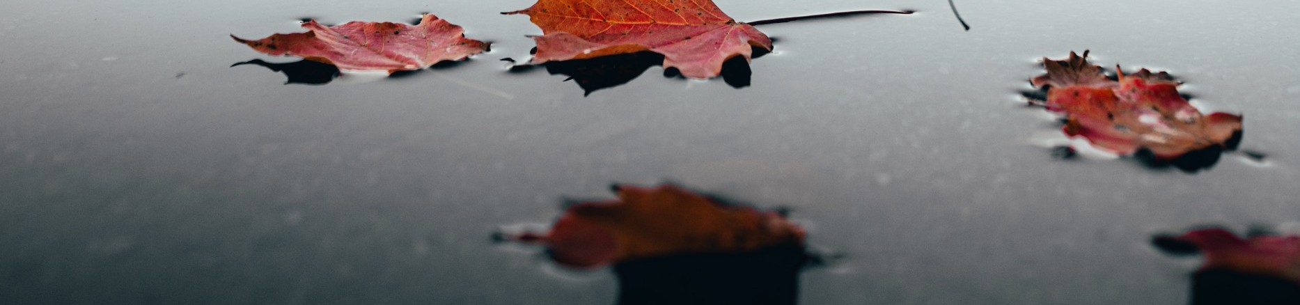  Autumn Atmosphere by the Lake