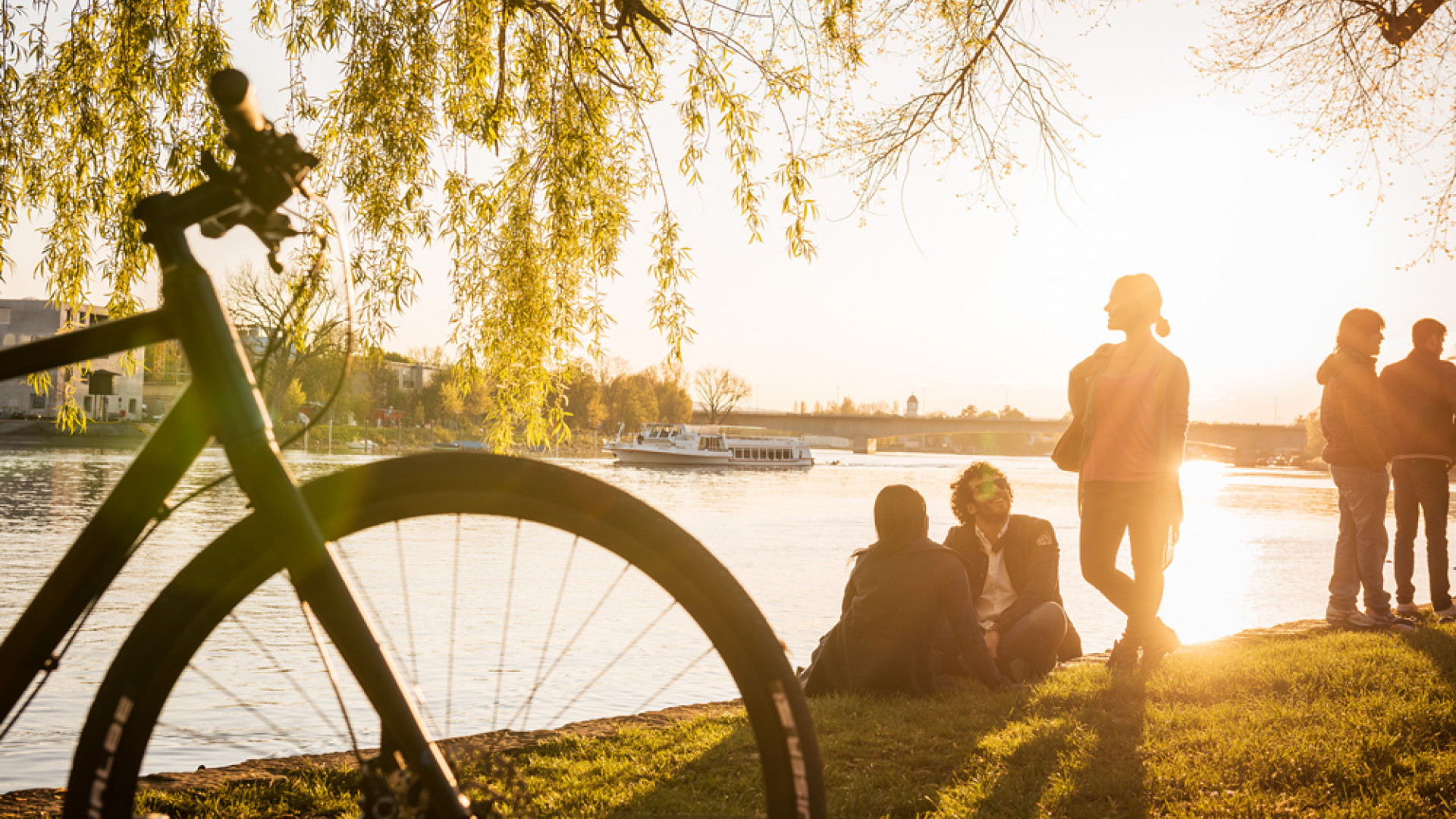 Der Seerhein in warmes Abendlicht getaucht, mit spiegelndem Wasser und farbenfrohem Himmel bei Sonnenuntergang