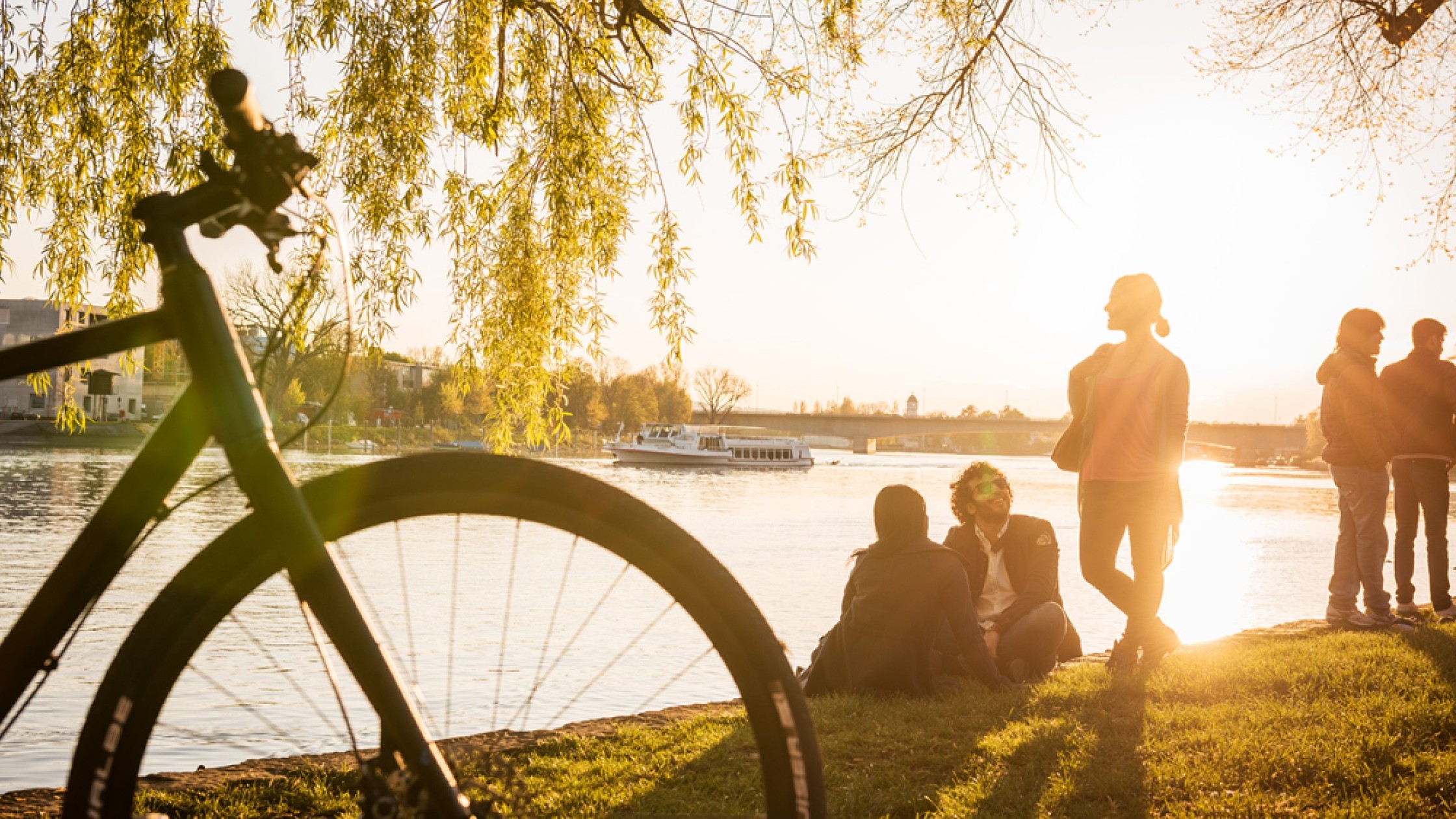 Der Seerhein in warmes Abendlicht getaucht, mit spiegelndem Wasser und farbenfrohem Himmel bei Sonnenuntergang