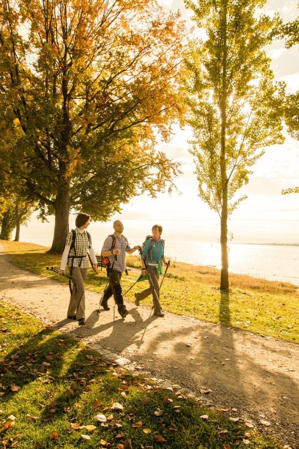 Wanderer auf einem Naturpfad mit Blick auf den Bodensee, umgeben von grüner Landschaft und ruhiger Atmosphäre